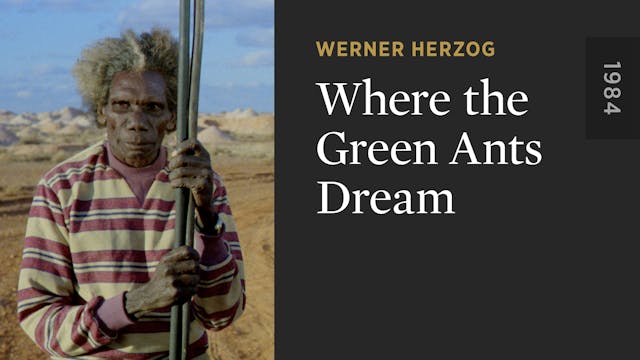 Where the Green Ants Dream