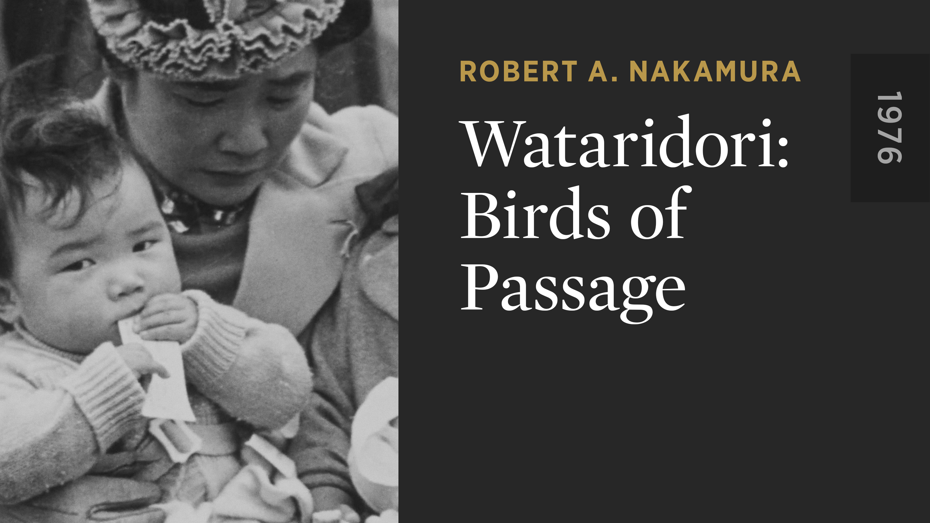 Wataridori: Birds of Passage