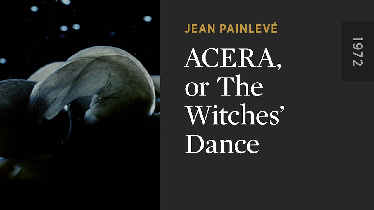 Acera, or The Witches’ Dance
