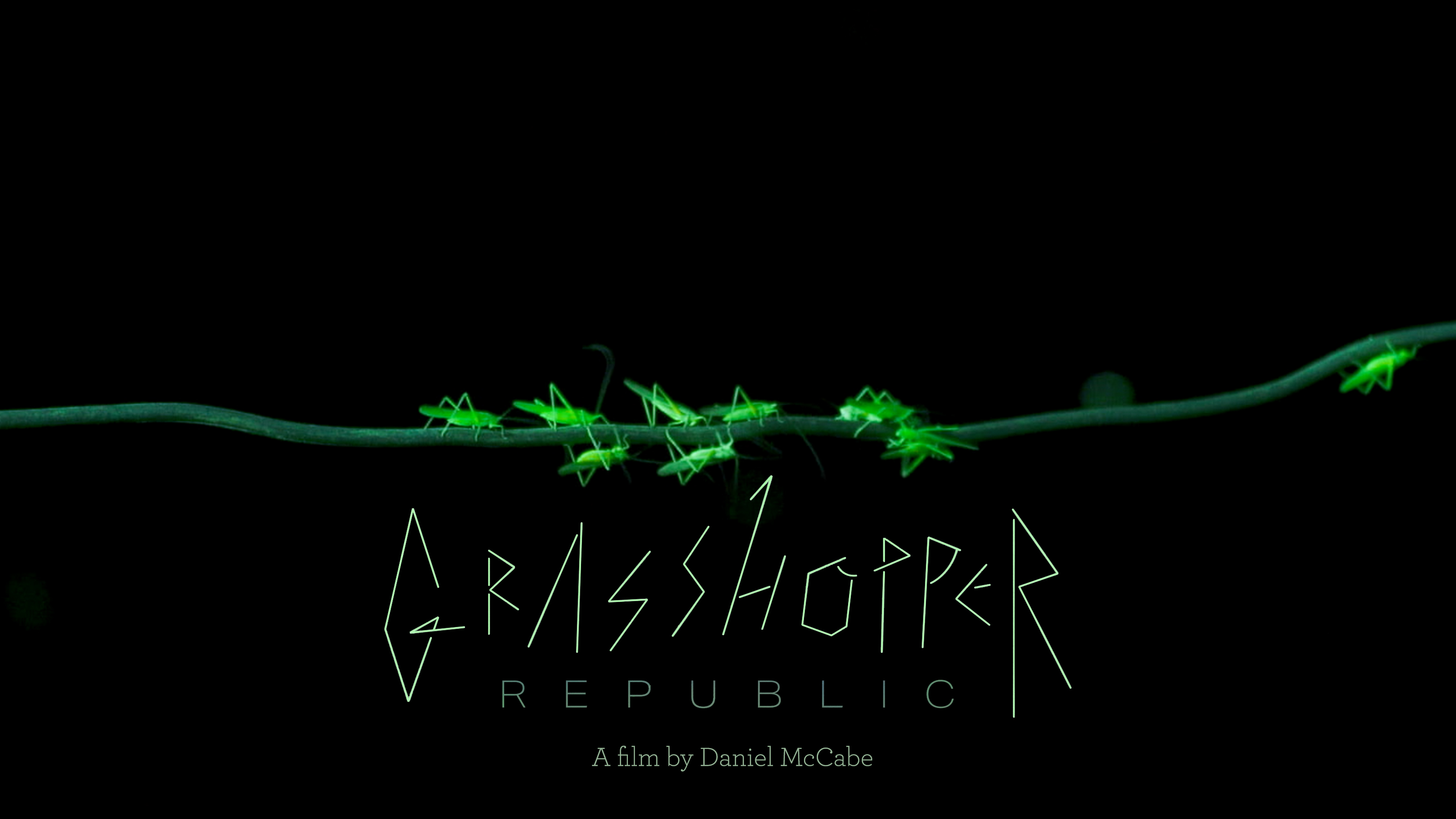 Grasshopper Republic