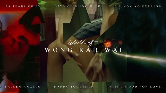 World of Wong Kar Wai