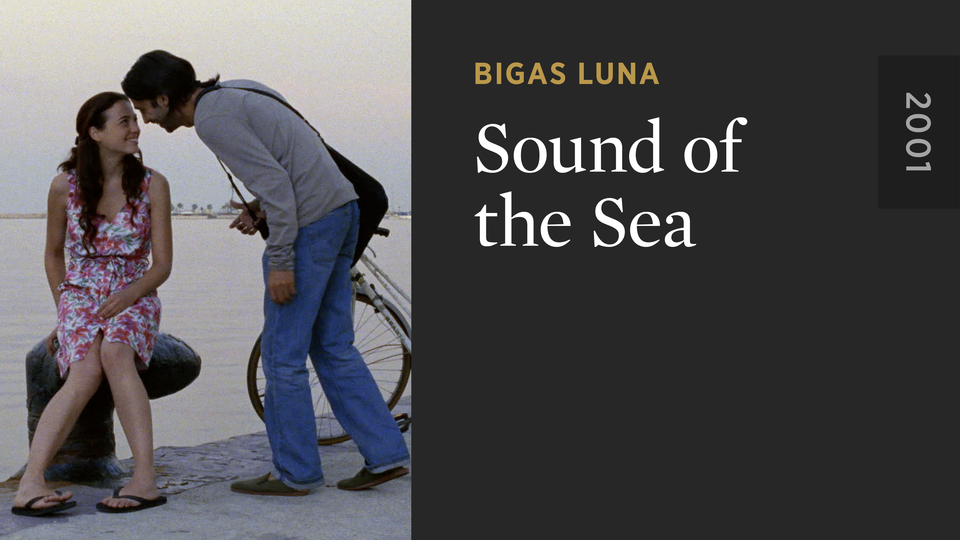 Sound of the Sea