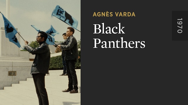 Black Panthers - The Criterion Channel