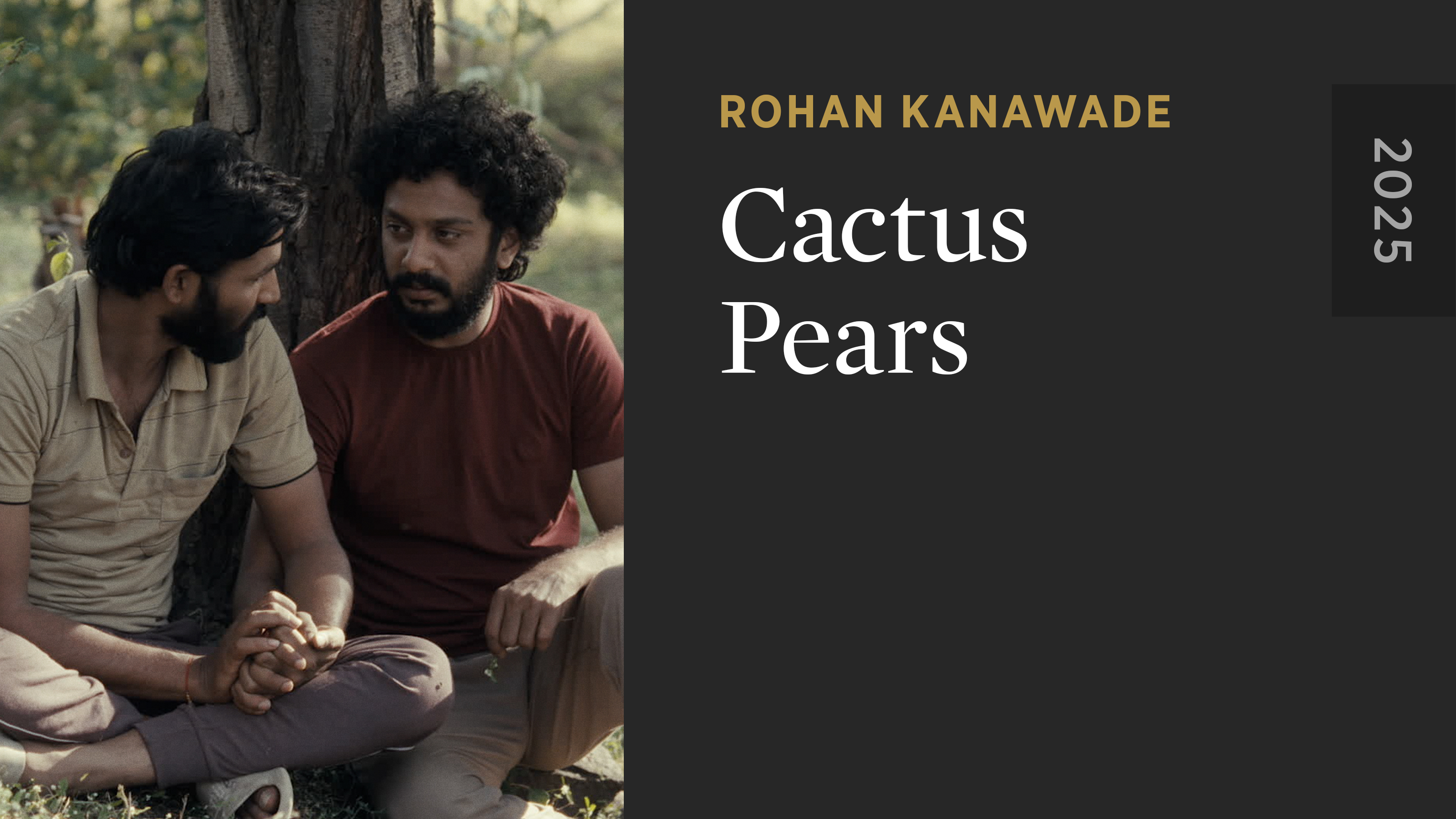 Cactus Pears
