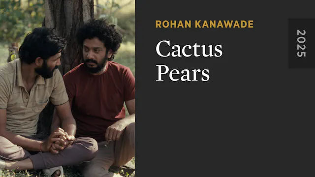 Cactus Pears