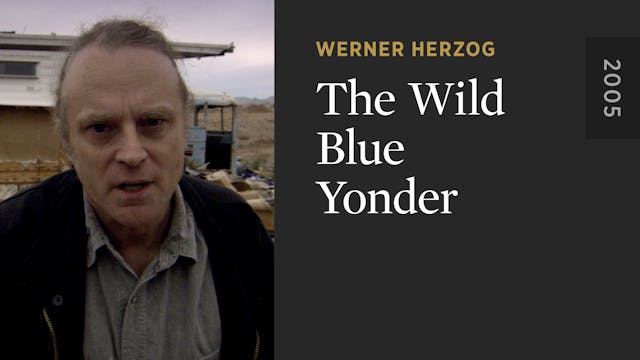 The Wild Blue Yonder