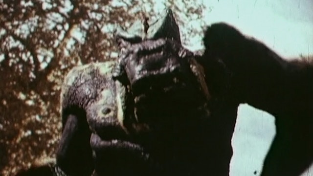 Monstrous Origins: Taurus Test Footage