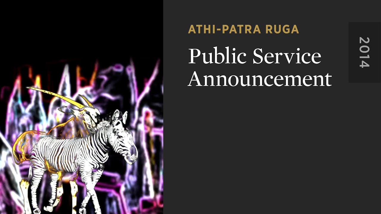 Public Service Announcement The Criterion Channel