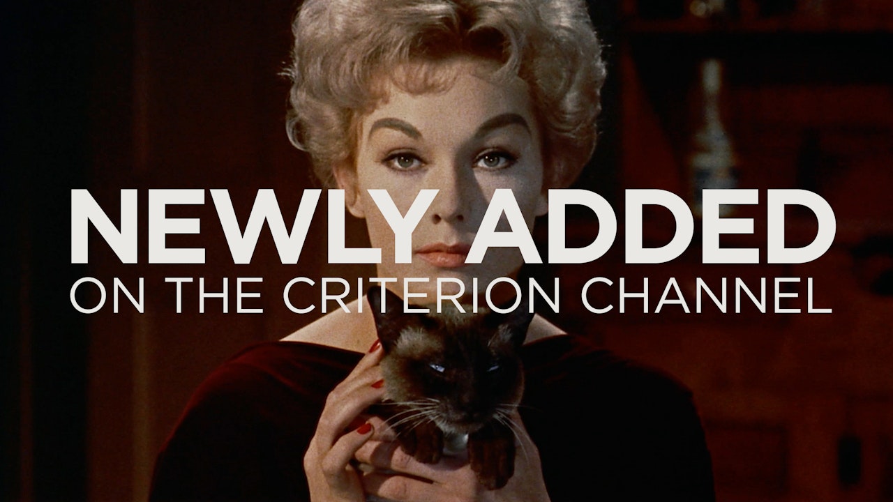 Opening Night - The Criterion Channel