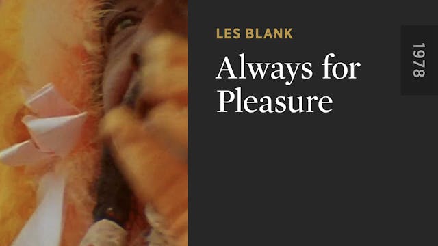 Always for Pleasure