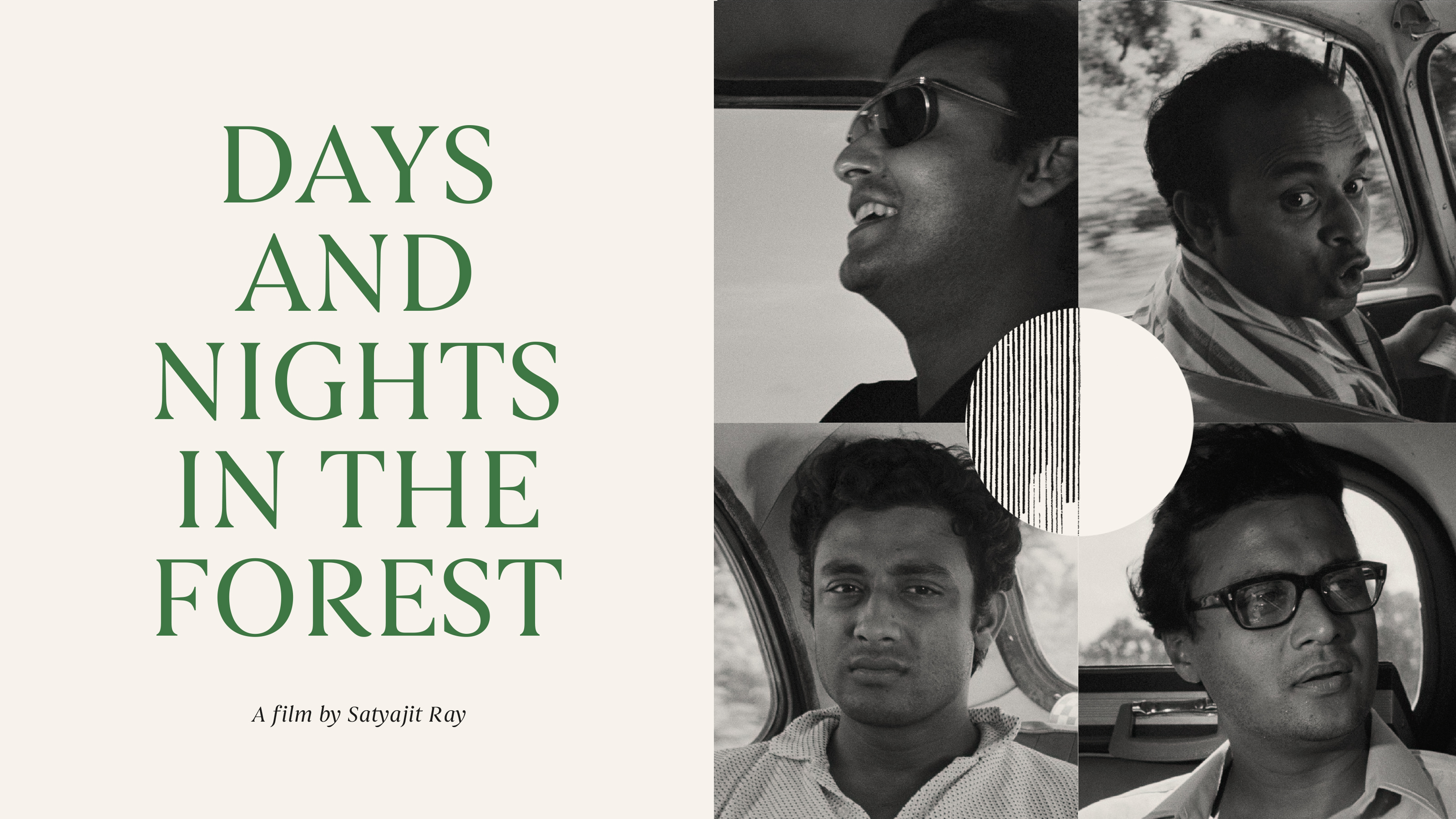 Days and Nights in the Forest