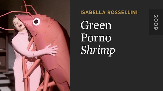GREEN PORNO: Shrimp