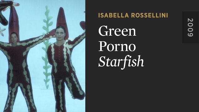 GREEN PORNO: Starfish