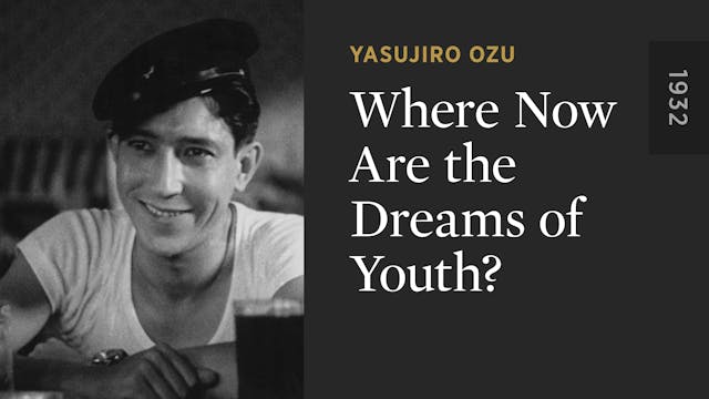 Where Now Are the Dreams of Youth?