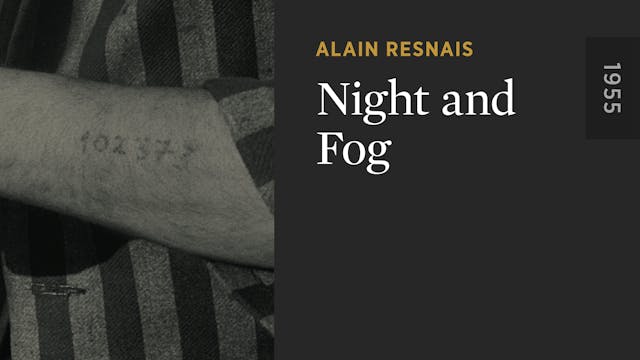 Night and Fog