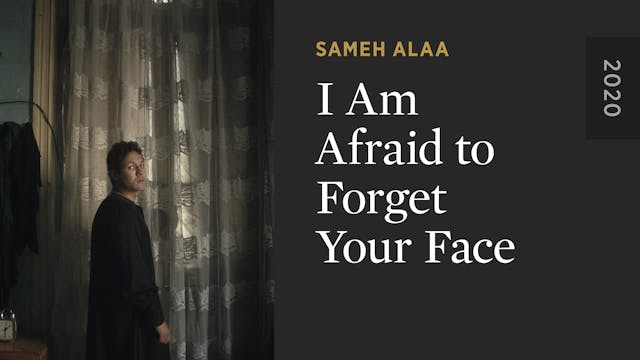 I Am Afraid to Forget Your Face