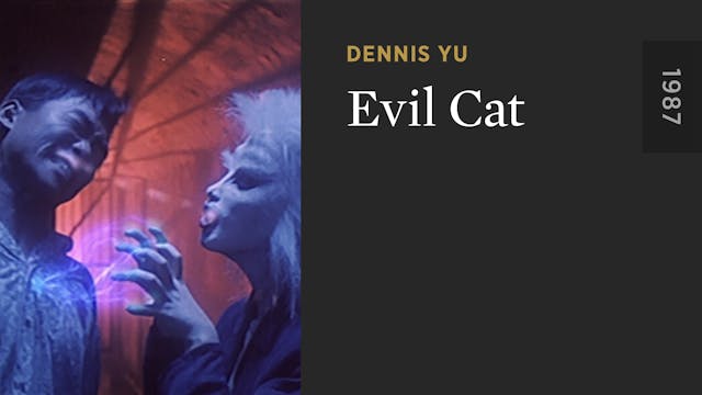 Evil Cat