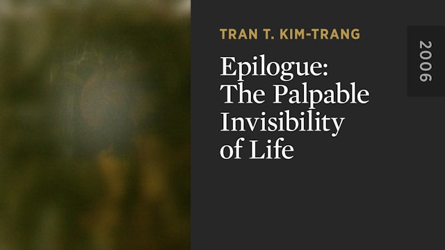 Epilogue: The Palpable Invisibility of Life
