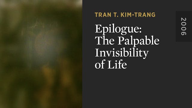 Epilogue: The Palpable Invisibility o...