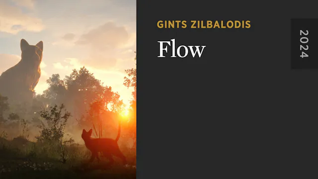 Flow