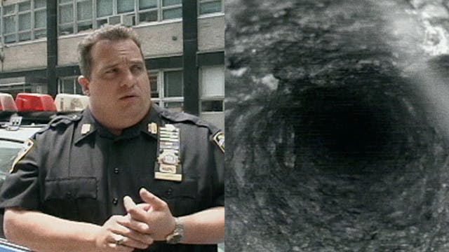 Split Screen: S9-E2 Ross McElwee 101