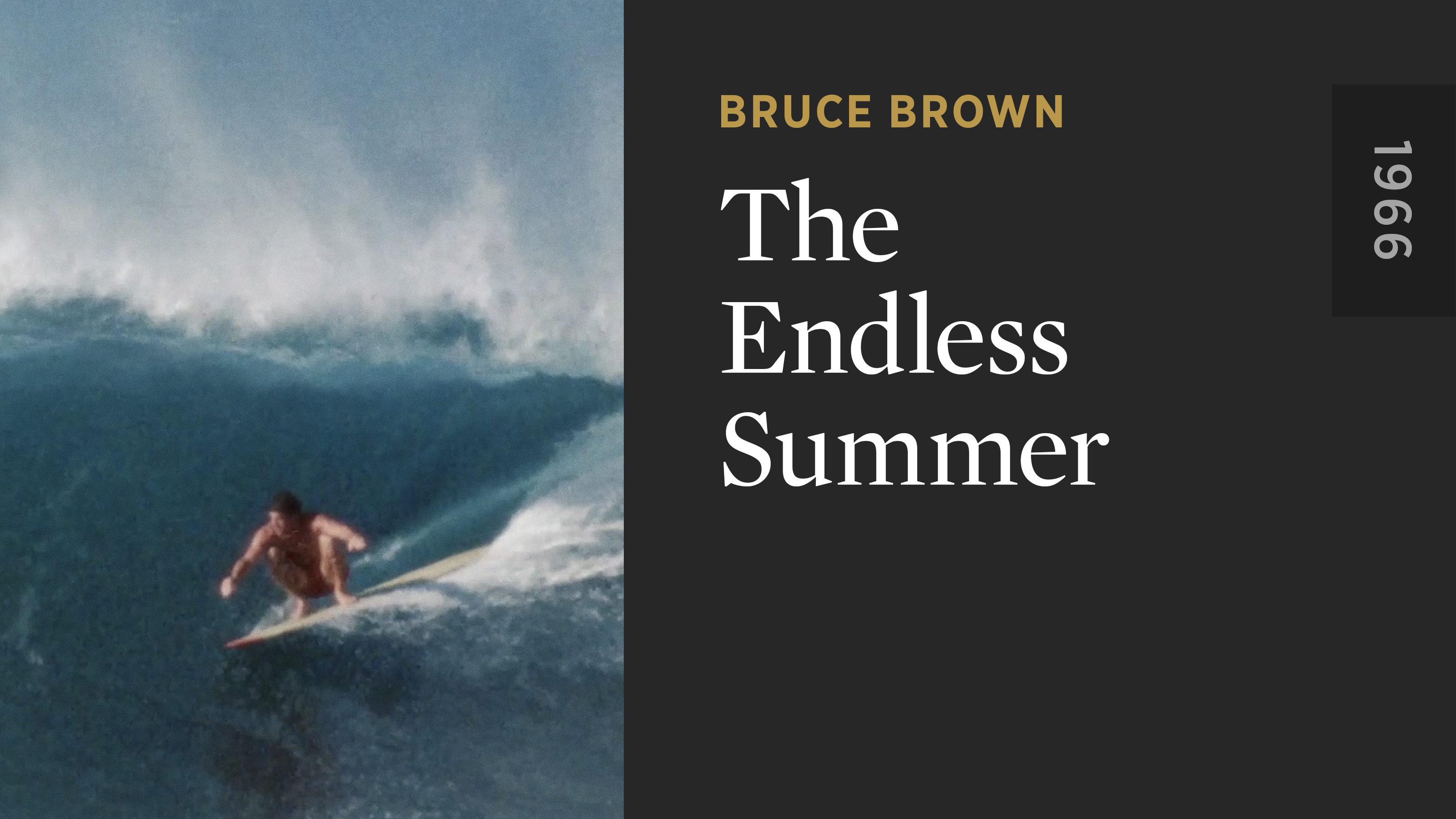 The Endless Summer - The Criterion Channel