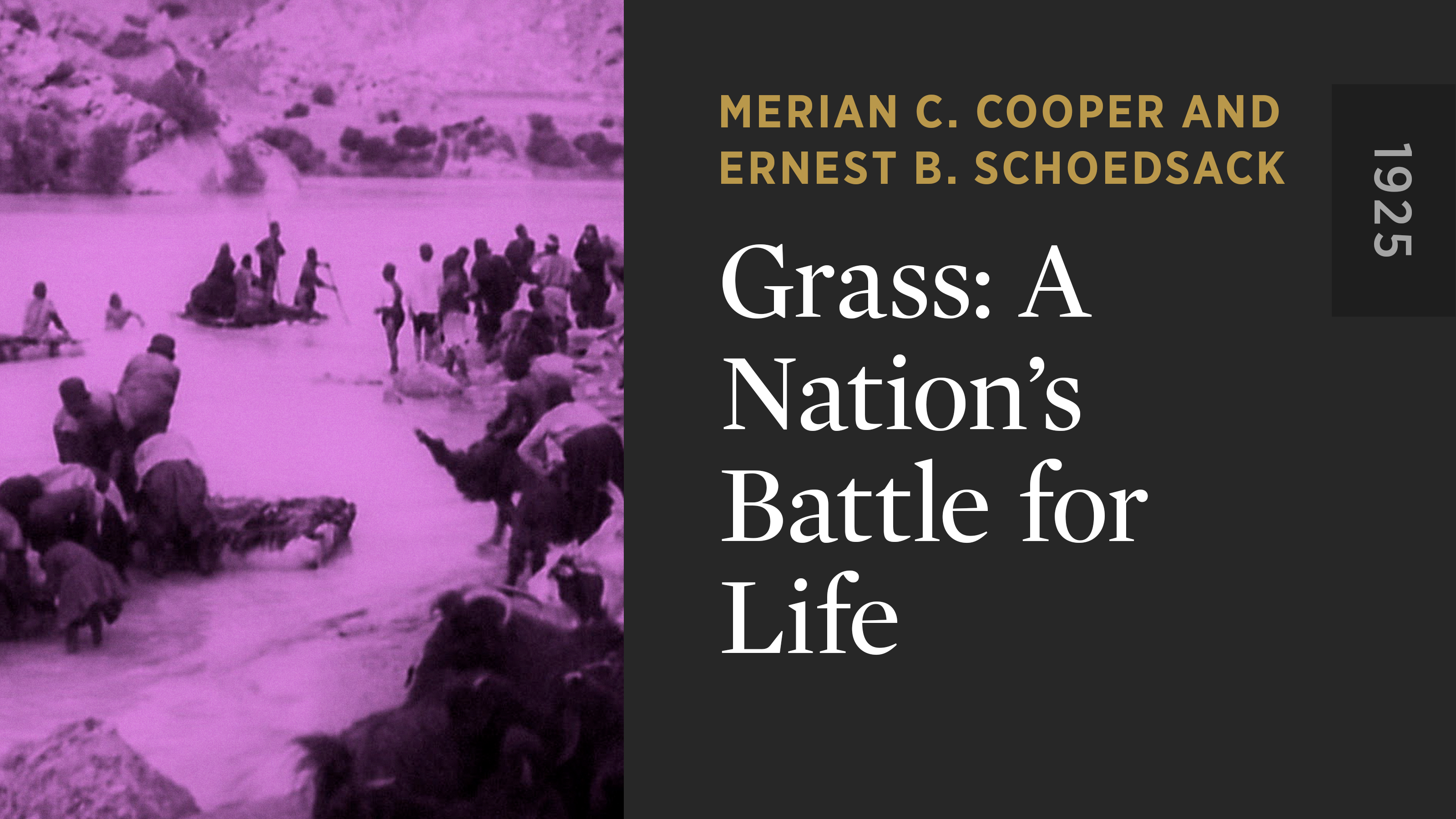 Grass: A Nation's Battle for Life - The Criterion Channel