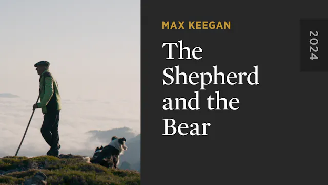 The Shepherd and the Bear