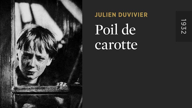 Poil de carotte