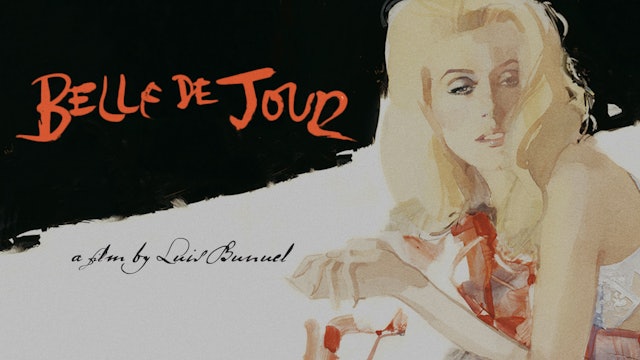 BELLE DE JOUR Edition Intro