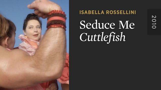 SEDUCE ME: Cuttlefish