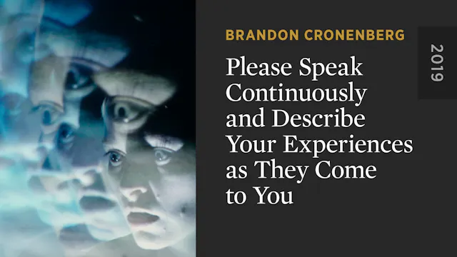 Please Speak Continuously and Describ...
