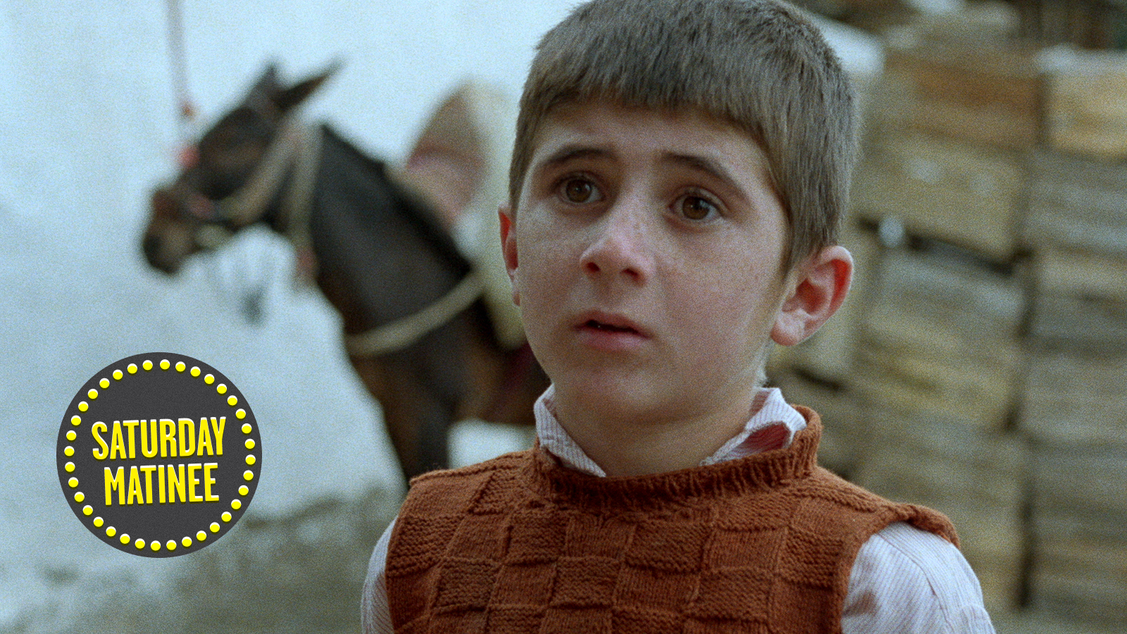 Where Is the Friend’s House?