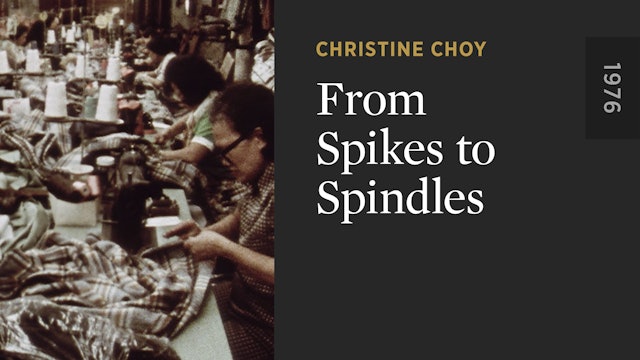 From Spikes to Spindles