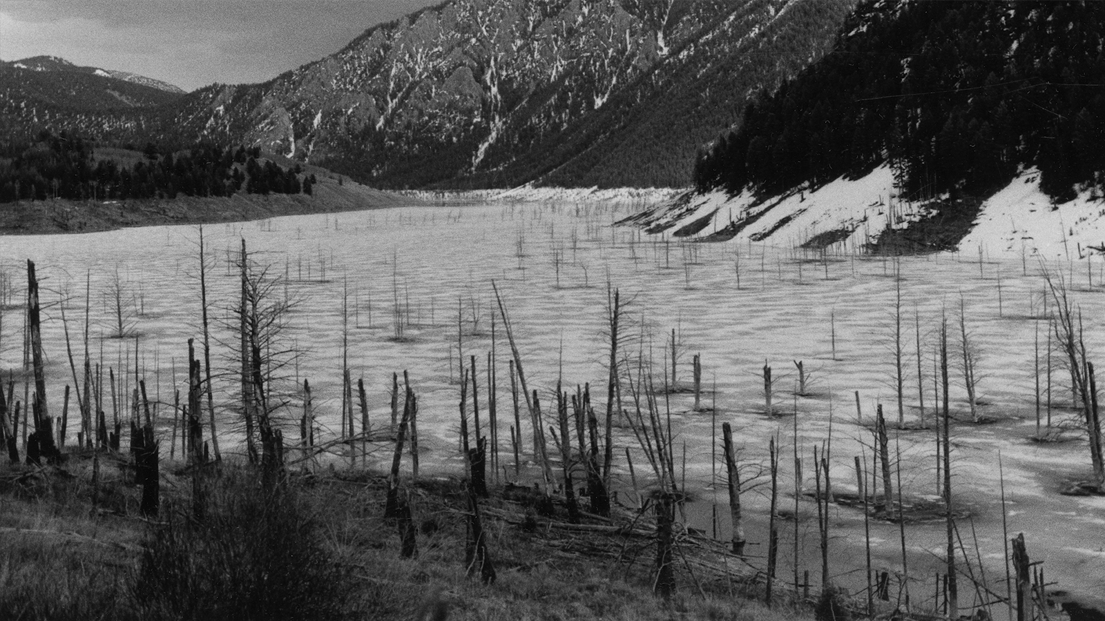 Reading Blake: Mili Avital