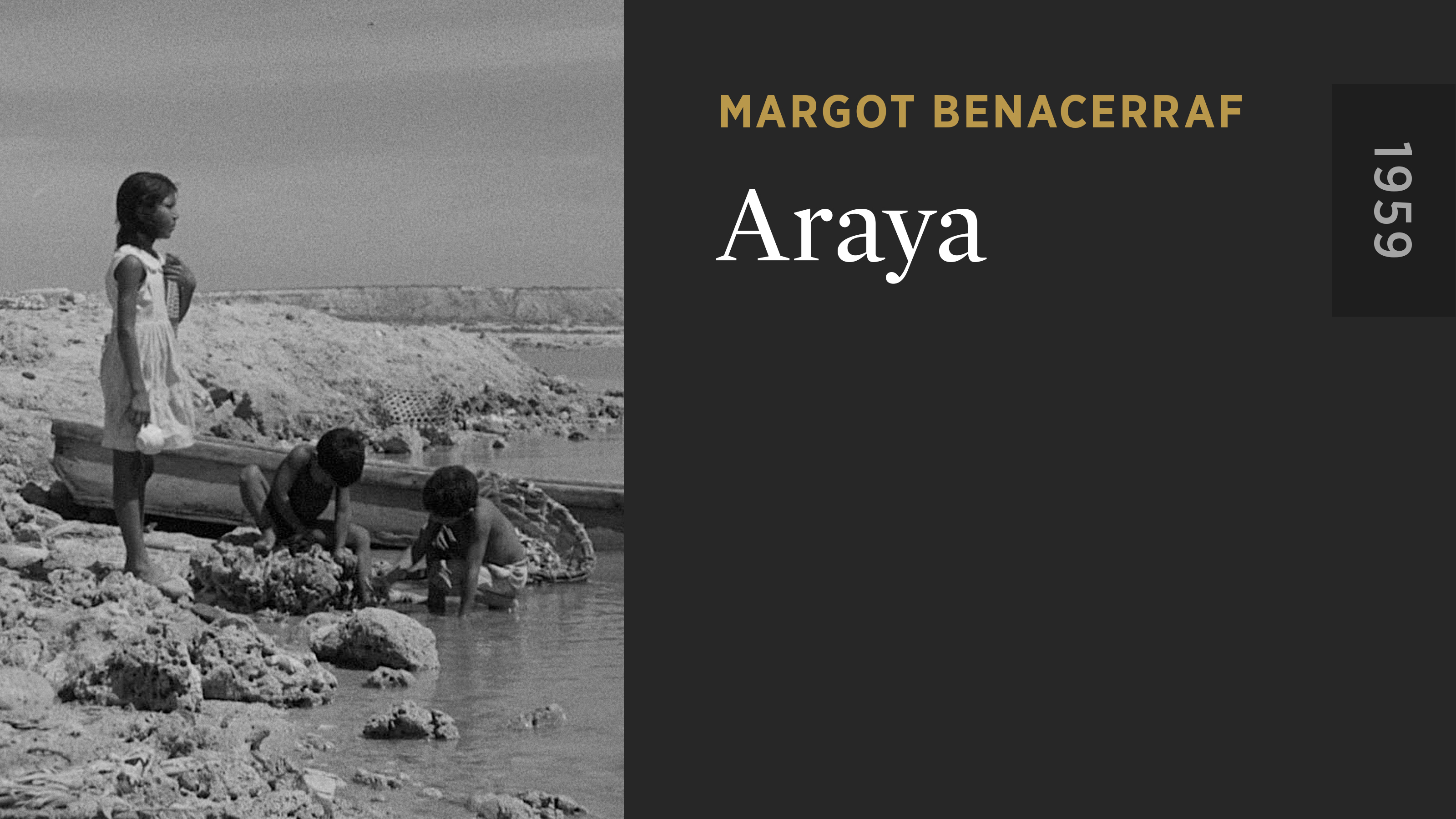 Araya - The Criterion Channel