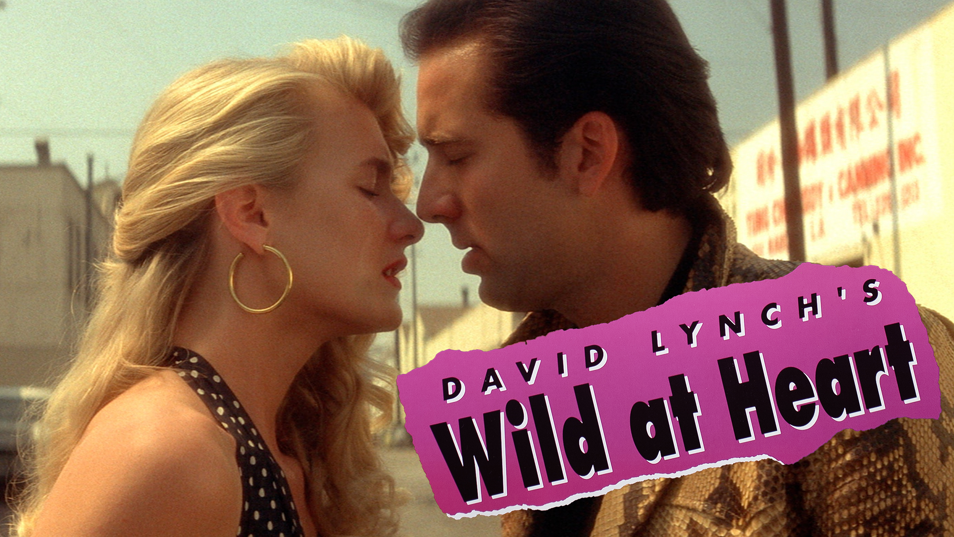 Wild at Heart