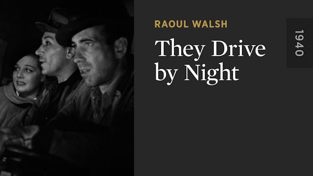 They Drive by Night