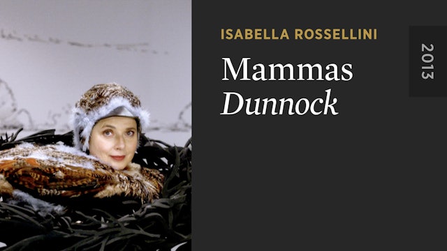 MAMMAS: Dunnock