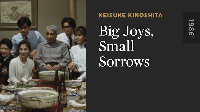 Big Joys, Small Sorrows