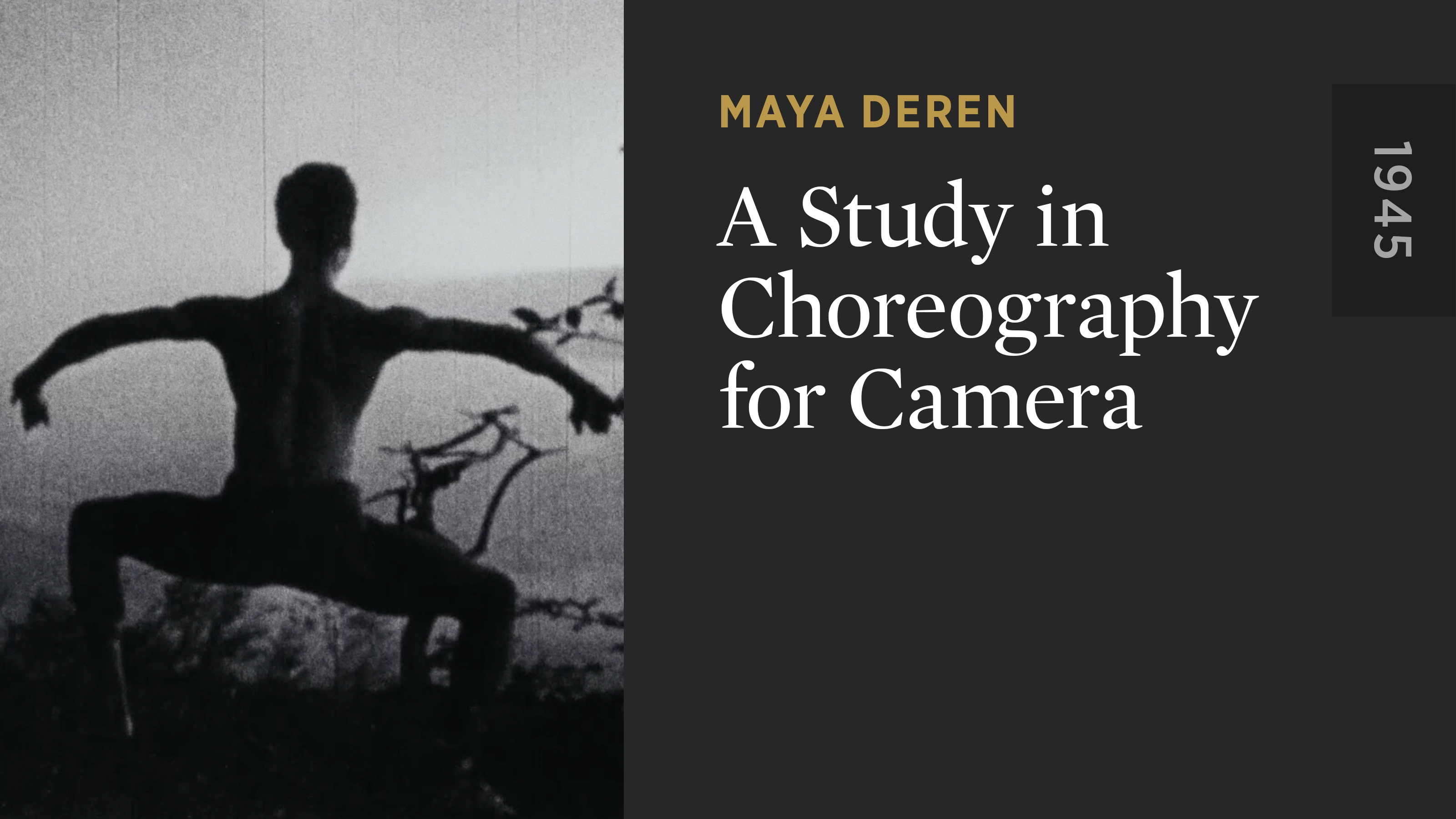 A Study in Choreography for Camera