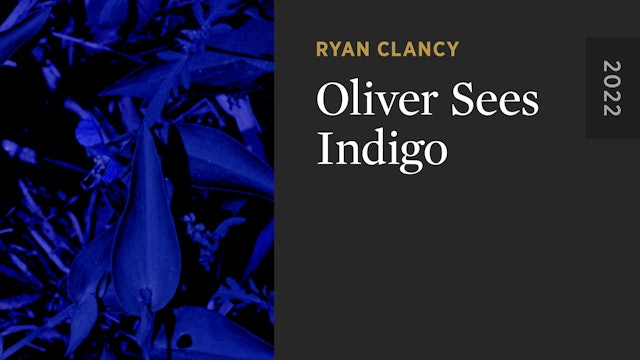 Oliver Sees Indigo