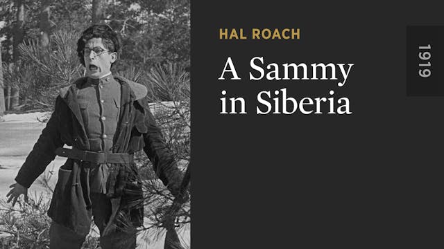 A Sammy in Siberia