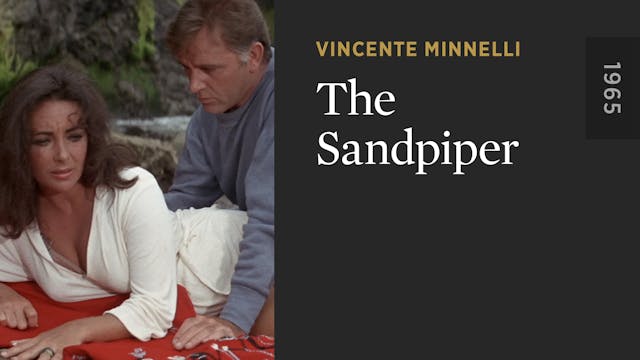 The Sandpiper