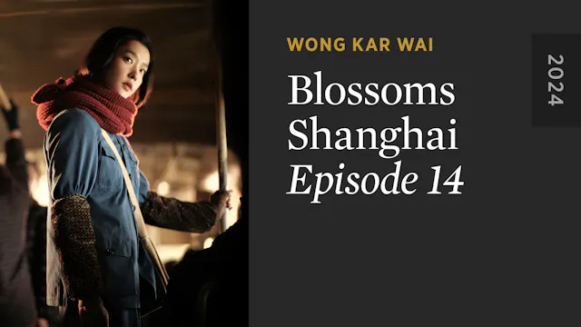 BLOSSOMS SHANGHAI Episode 14 Teaser