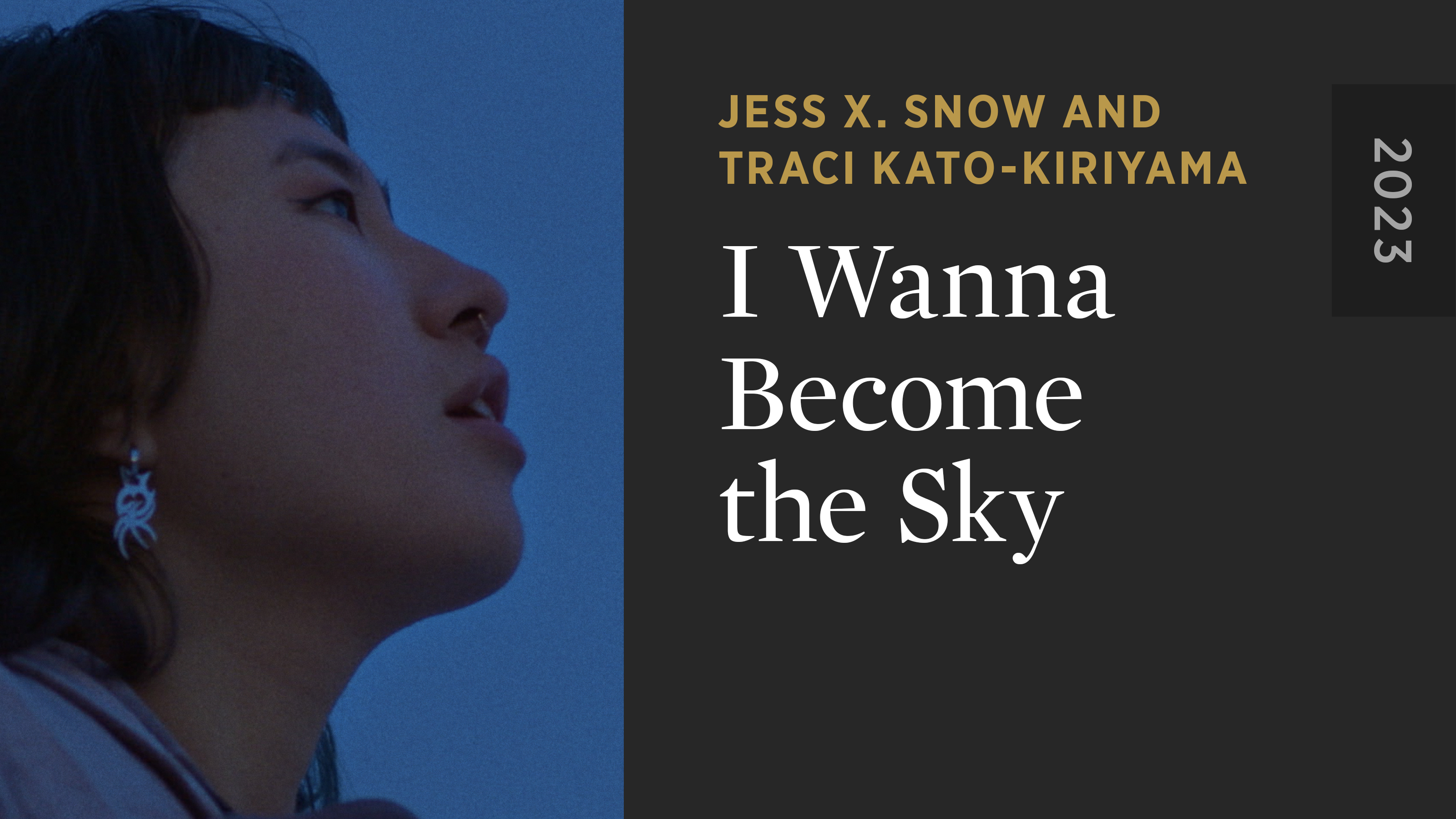 I Wanna Become the Sky