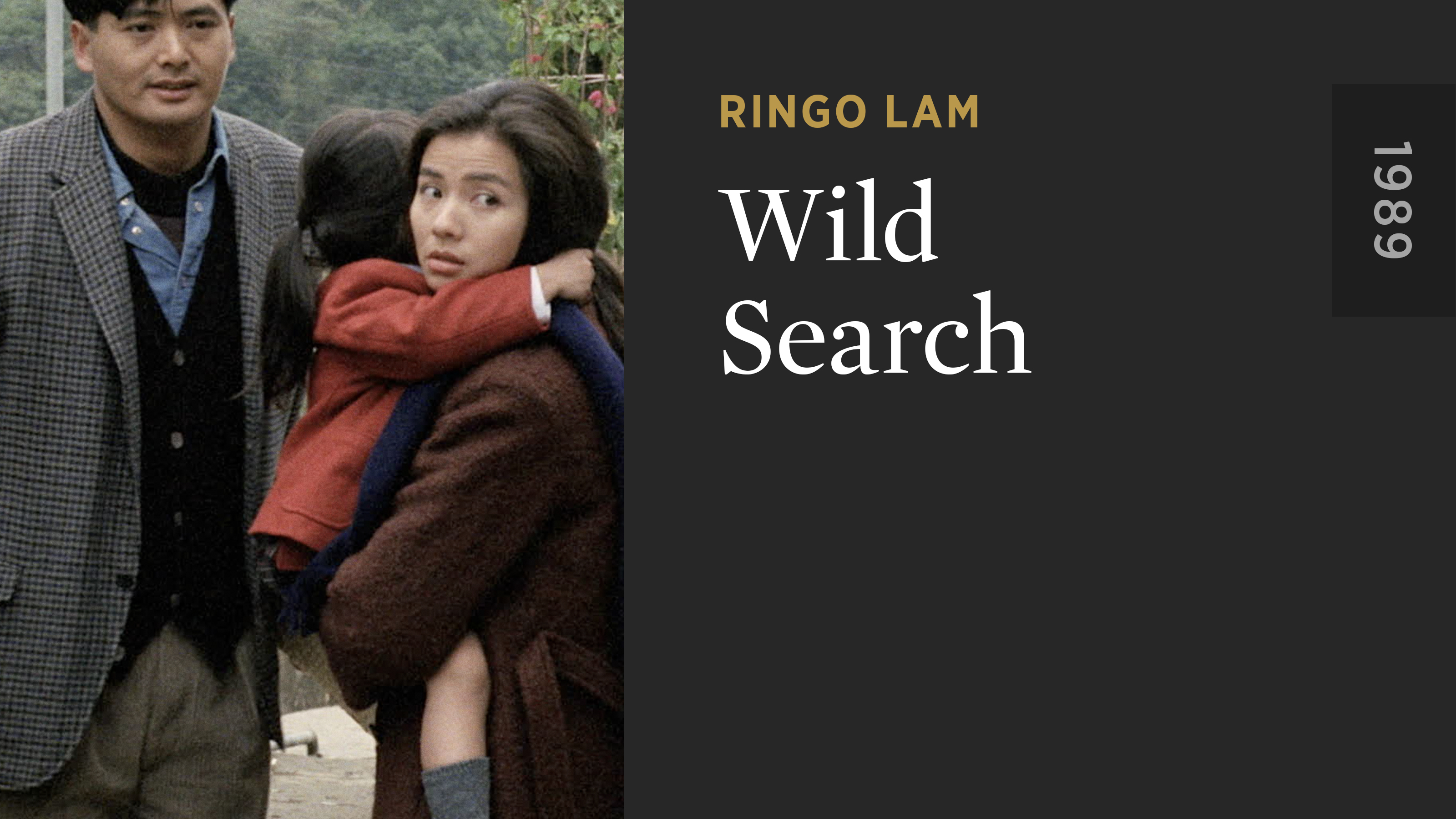 Wild Search