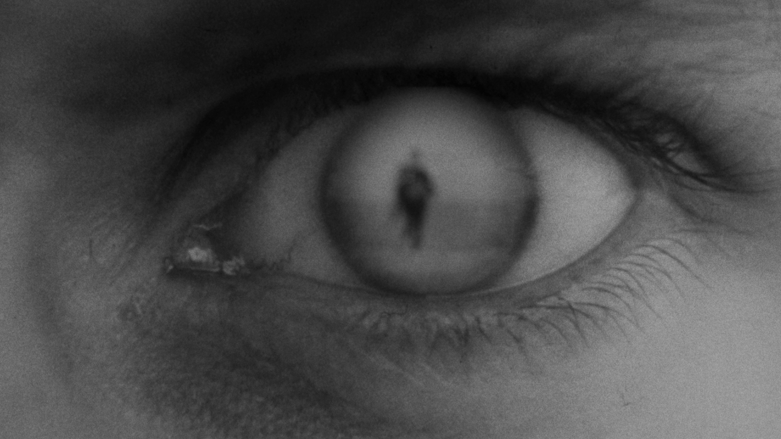 Soldiers’ Journals: Sergeant Finlay Campbell