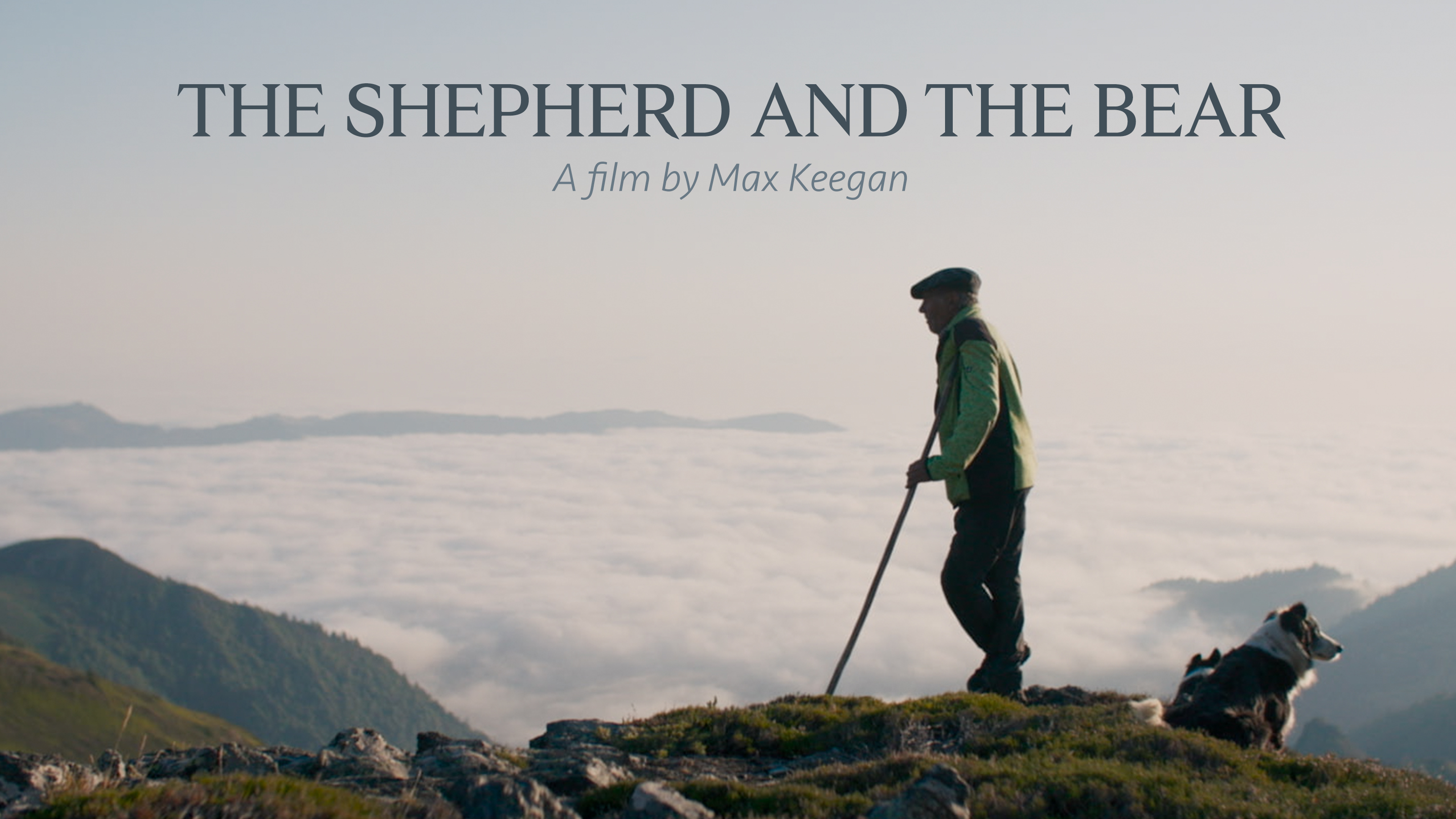 The Shepherd and the Bear