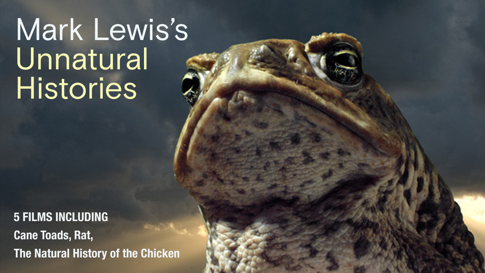 Directed by Mark Lewis